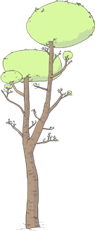 Buy a Snowboard -- Plant a Tree